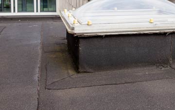 disadvantages of Cill Eireabhagh flat roofs